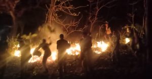 Sigap, Prajurit Kompi Kavaleri KKA Bantu Masyarakat Padamkan api Karhutla